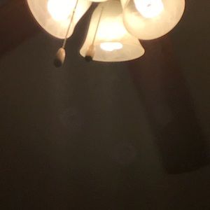 Meet your Posher, Elaine