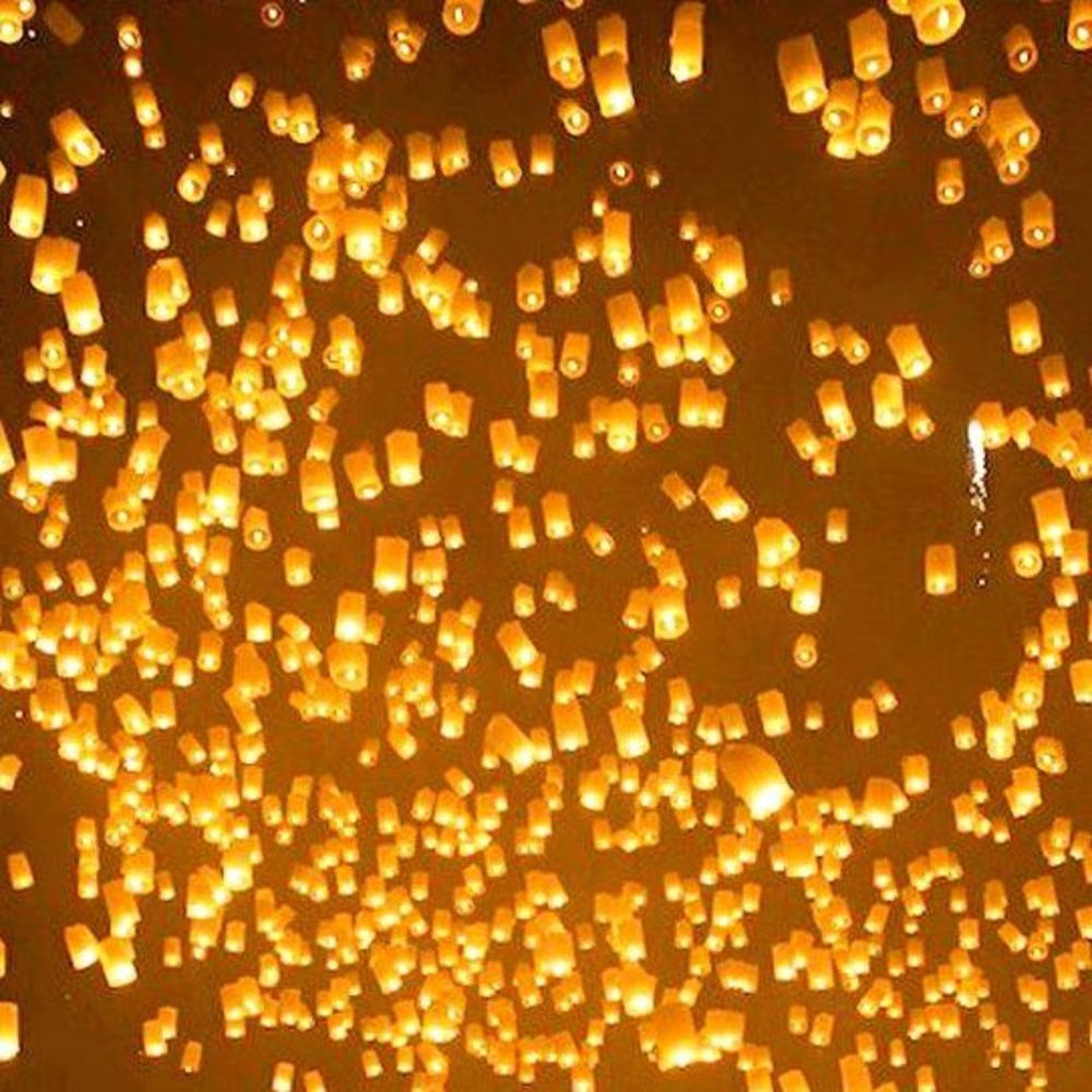 Meet your Posher, Olga