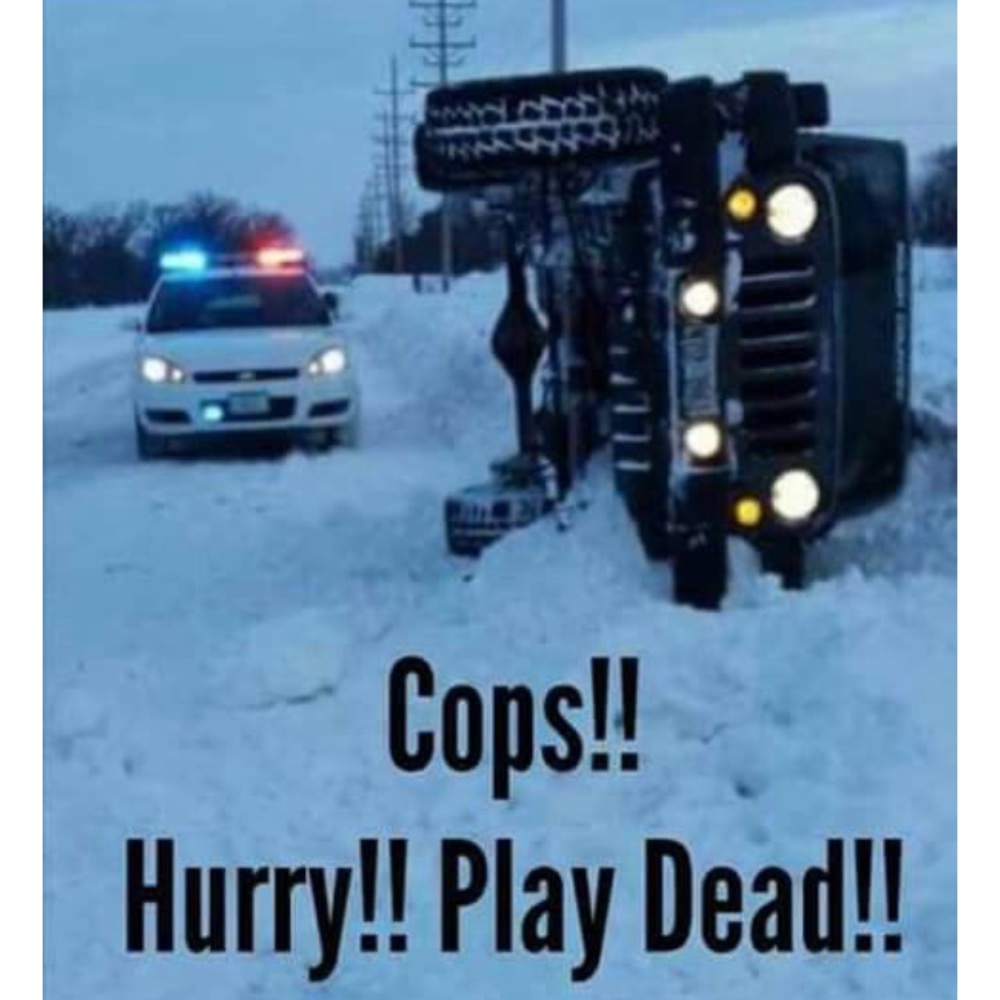 Meet your Posher, Shay