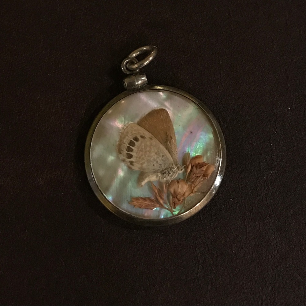Moth Specimens Inside of Glass Pendant