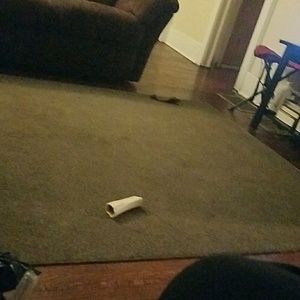 Meet your Posher, Sydney