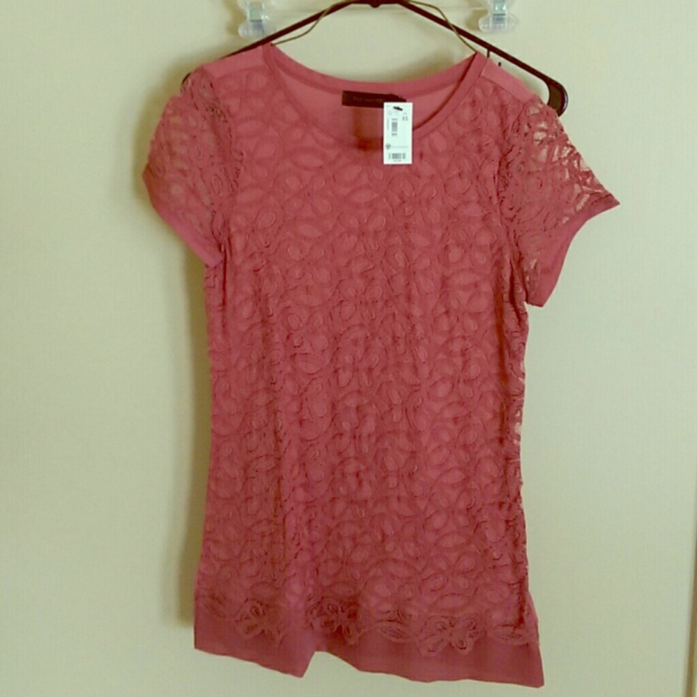 The Limited Mauve Blouse