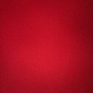 Meet your Posher, Chase