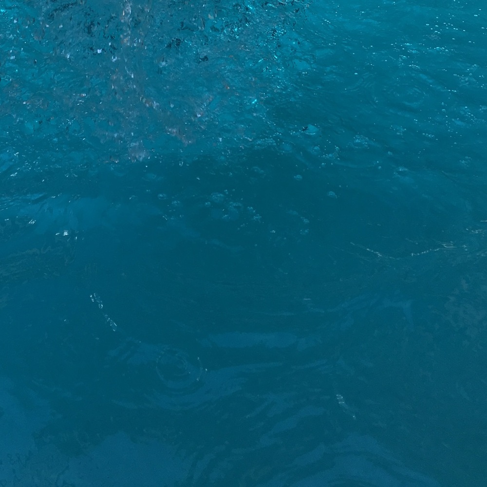 Meet your Posher, Bryann