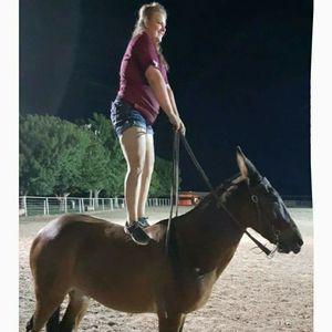 Meet your Posher, Marci