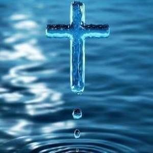 Meet your Posher, Anita