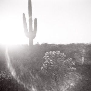 Meet your Posher, Elin