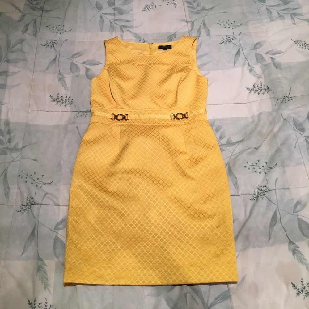 Tahari Dress
