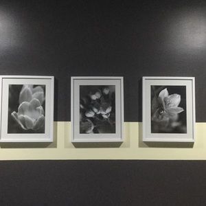 Meet your Posher, Sue