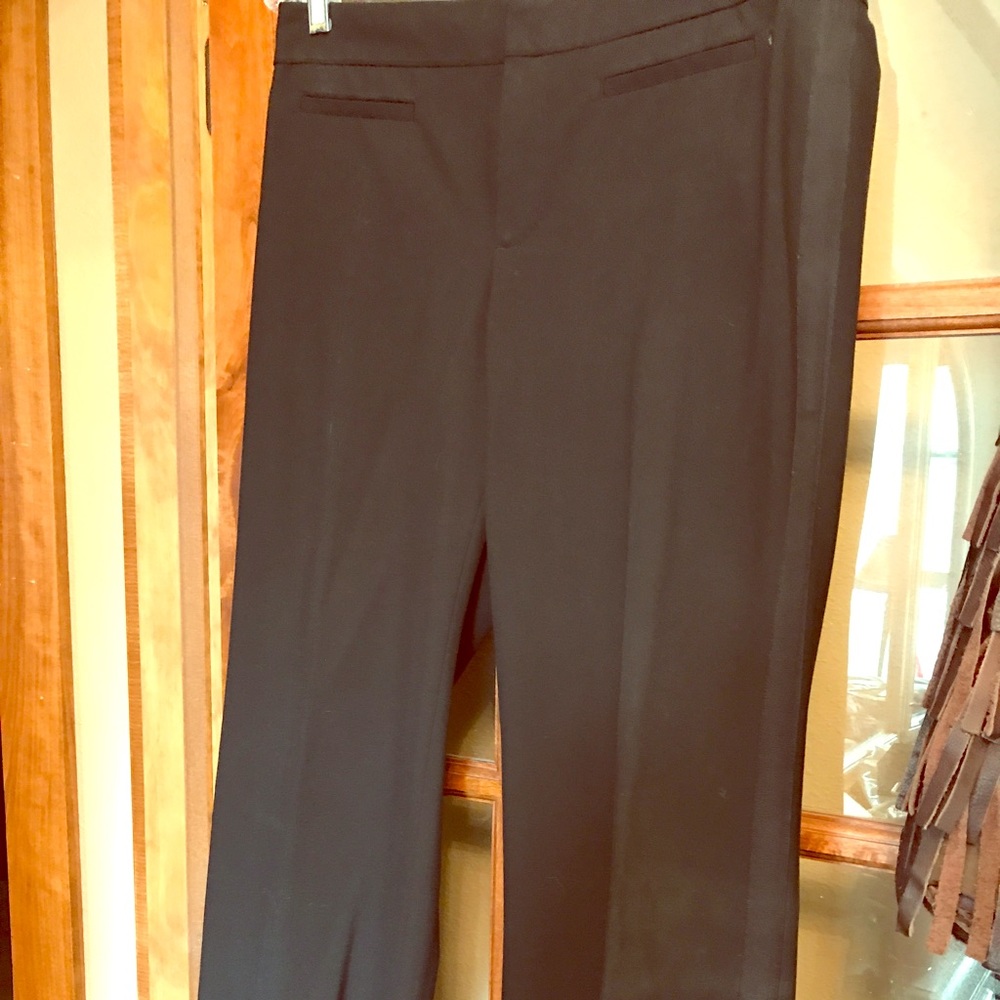 Dress Pants