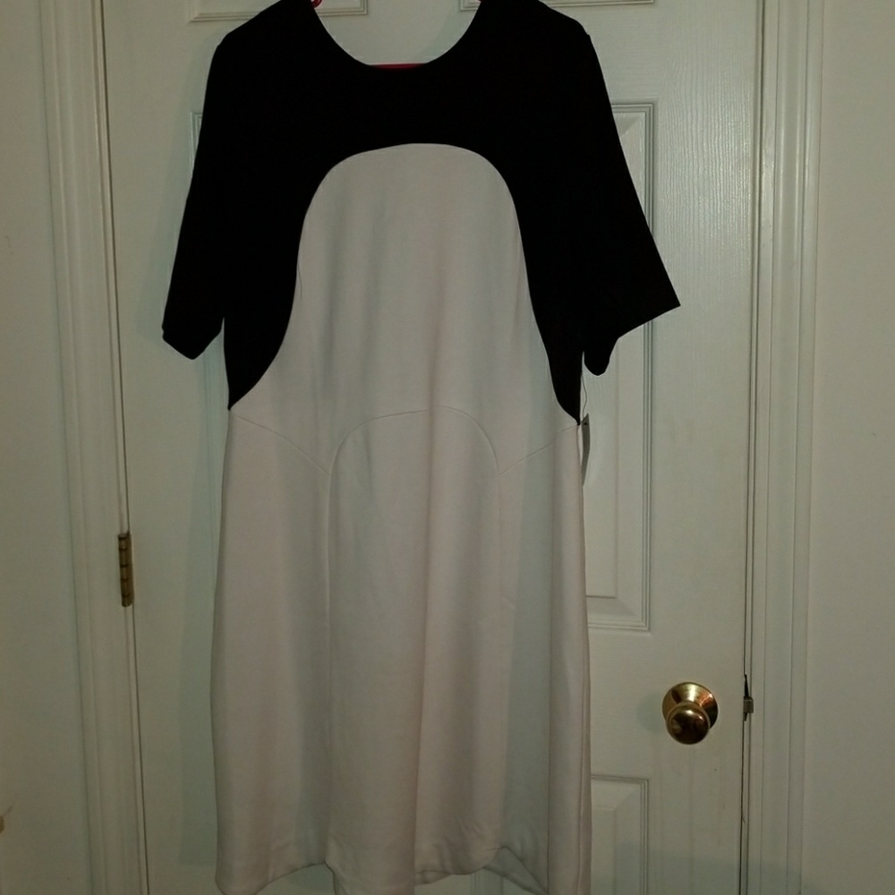 Eloquii dress with scalloped bottom 18 NWT