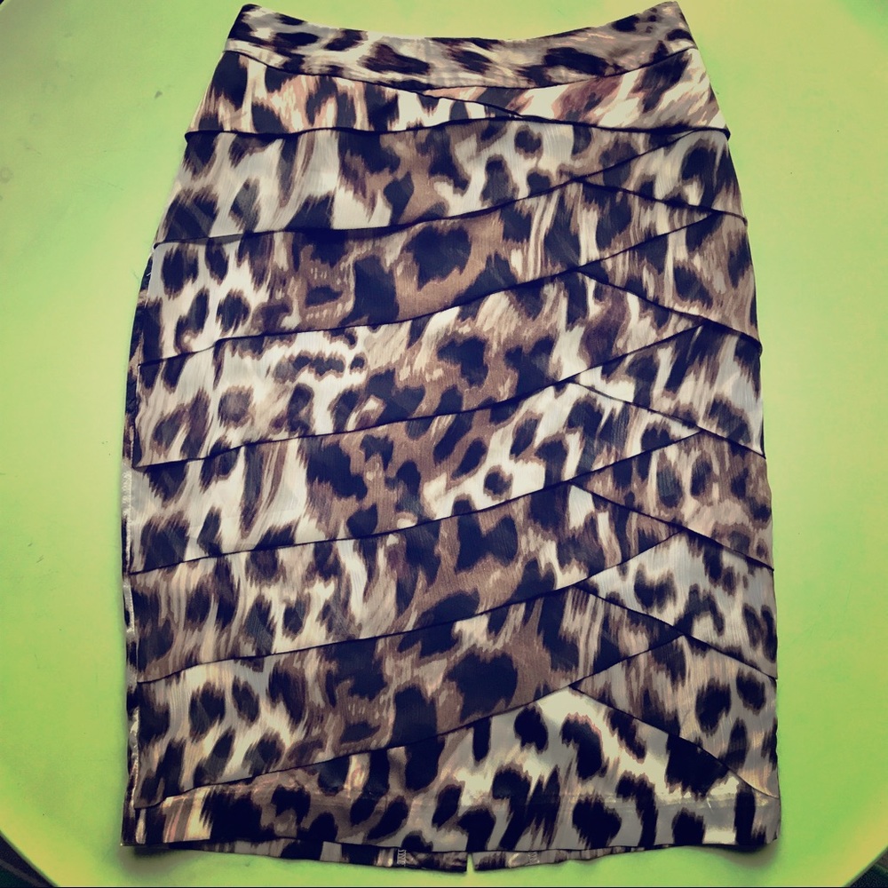 A Beautiful Leopard Print Skirt