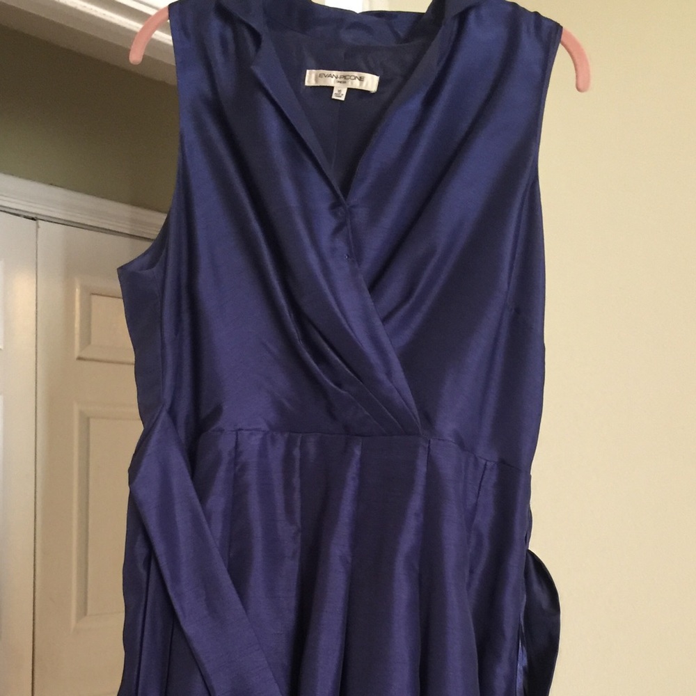 Beautiful Evan Picone dress