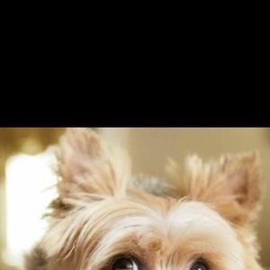 Meet your Posher, Ana