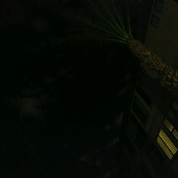 Your Posher, Tee. - Picture 1 of 1