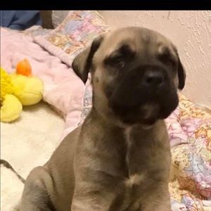 Meet your Posher, Renee