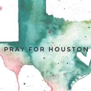 Meet your Posher, Danika