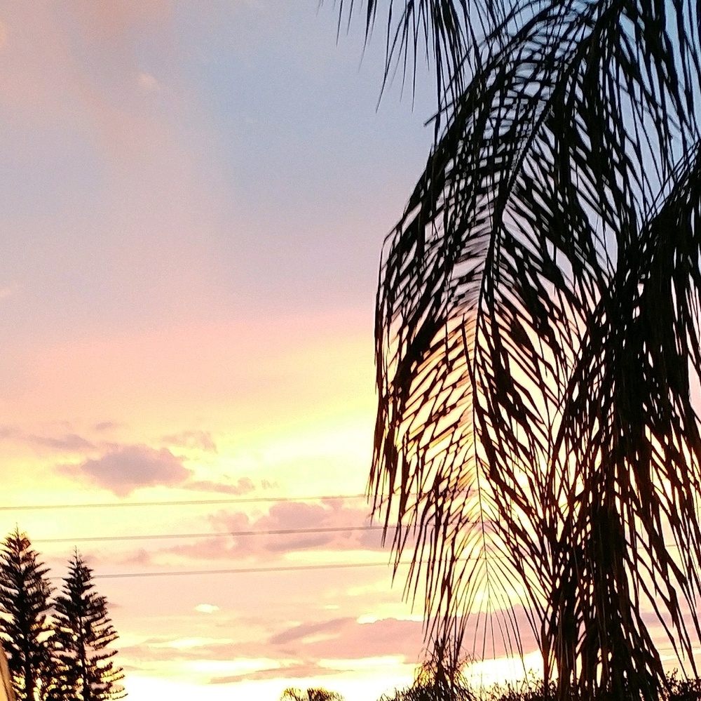 Meet your Posher, Jocelyn