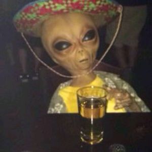 Meet your Posher, Ankeny