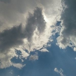 Meet your Posher, Ebony