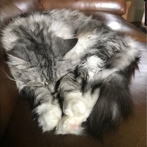 Meet your Posher, Terri