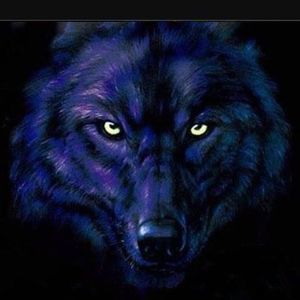 Meet your Posher, Shawn