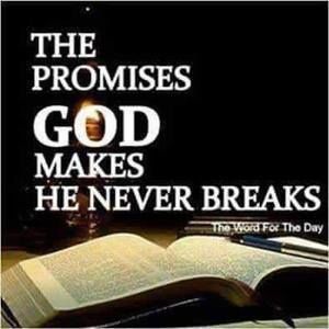 Meet your Posher, Curtis