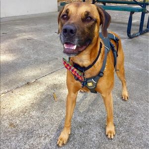 Meet your Posher, Gussa