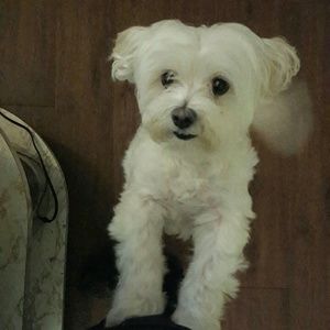 Meet your Posher, Joanne