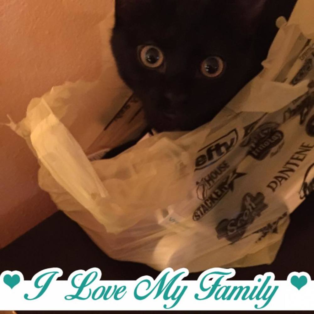 Meet your Posher, Melanie