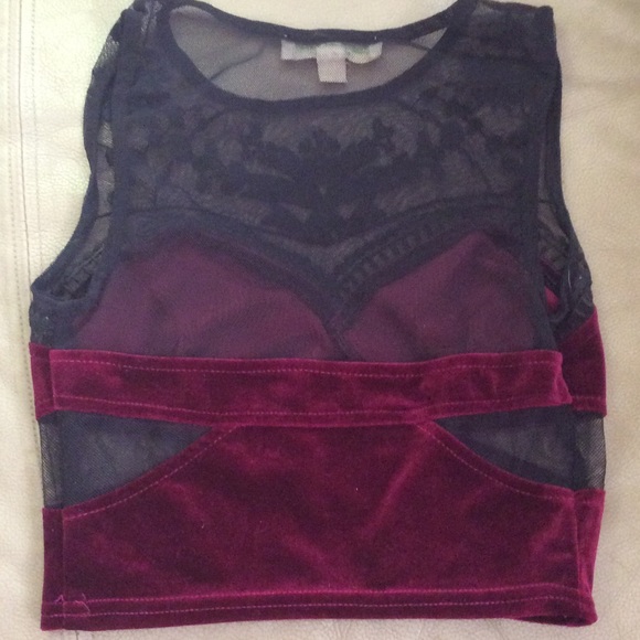 Mesh/velvet crop top - Picture 4 of 4