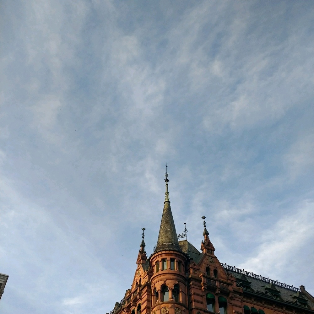 Meet your Posher, Forrest