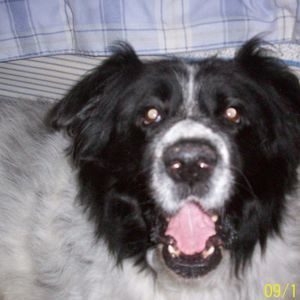 Meet your Posher, Jill