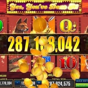 Meet your Posher, Annette