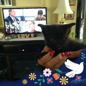 Meet your Posher, Kimberly