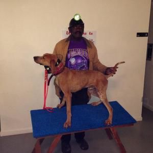 Meet your Posher, Mack