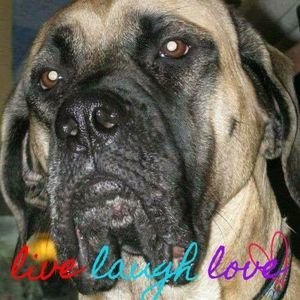 Meet your Posher, Heidi