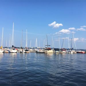 Meet your Posher, Robin hoanganh