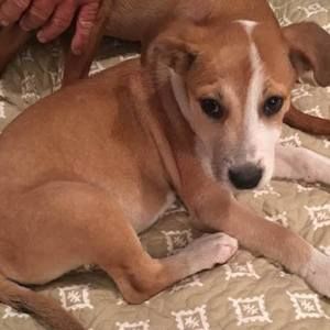 Meet your Posher, Sallie