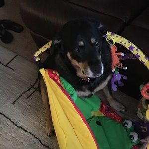 Meet your Posher, Julie