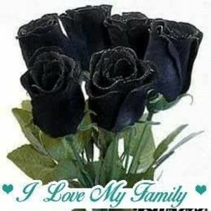 Meet your Posher, Vilma