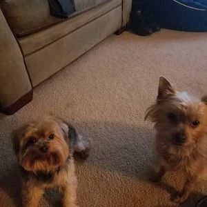 Meet your Posher, Deborah