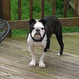 Meet your Posher, Kay