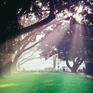 Meet your Posher, Tiengyea