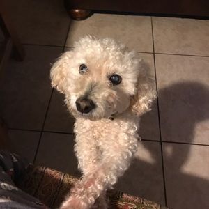 Meet your Posher, Daniela