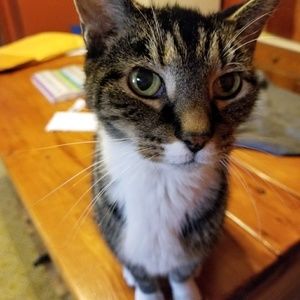 Meet your Posher, Nancy