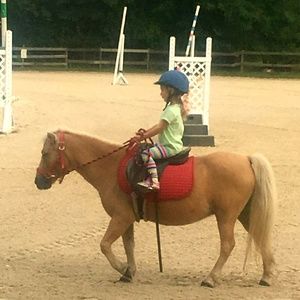 Meet your Posher, Bobbie