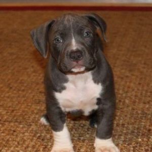 Meet your Posher, Cristian