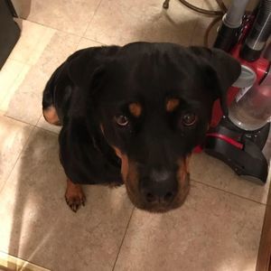 Meet your Posher, Kimmy