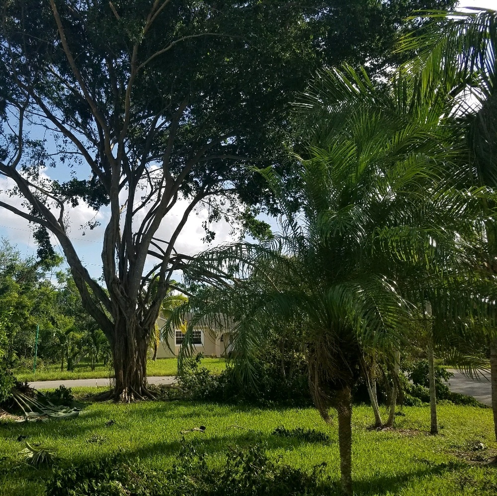 Meet your Posher, Sanda